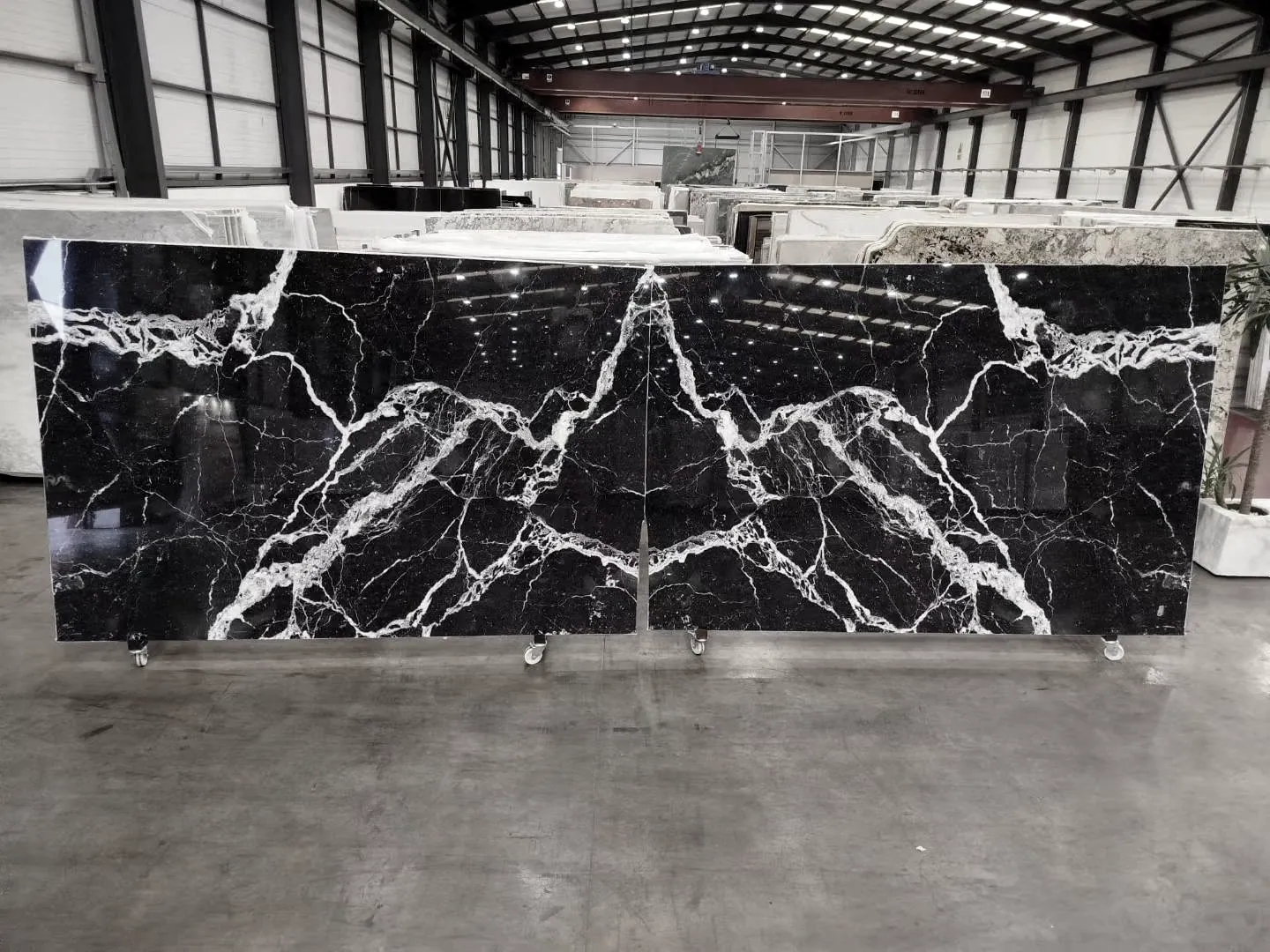 Nero Marquina Marble: real slab in our warehouse